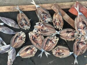 Fish Market Labuan Bajo