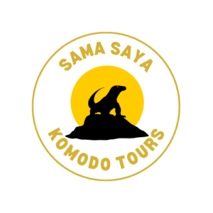 Sama Saya Komodo Tours